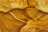 Polished Golden Picture Jasper Slice - Nevada #316215-1
